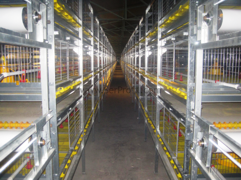 Broiler (Besi / Etlik) Tavuk Yetiştiriciliği Çiftliği Kümes Fiyatları