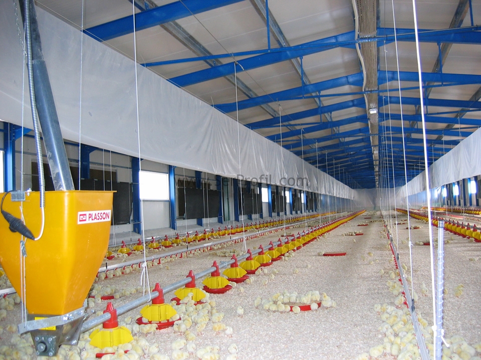 Prefabrik Tavuk Çiftliği Maliyeti, Anahtar Teslimi Tavuk Çiftliği Yapan Firmalar