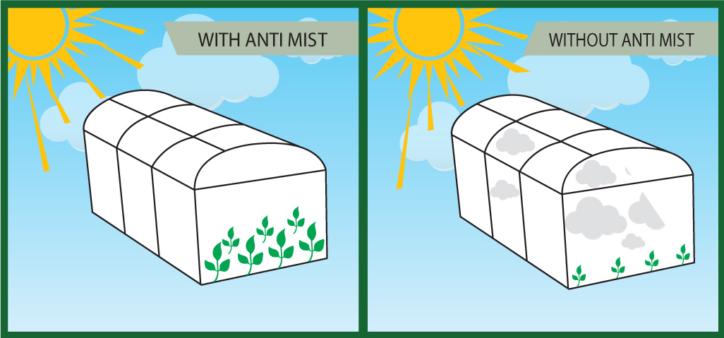 Anti Mist