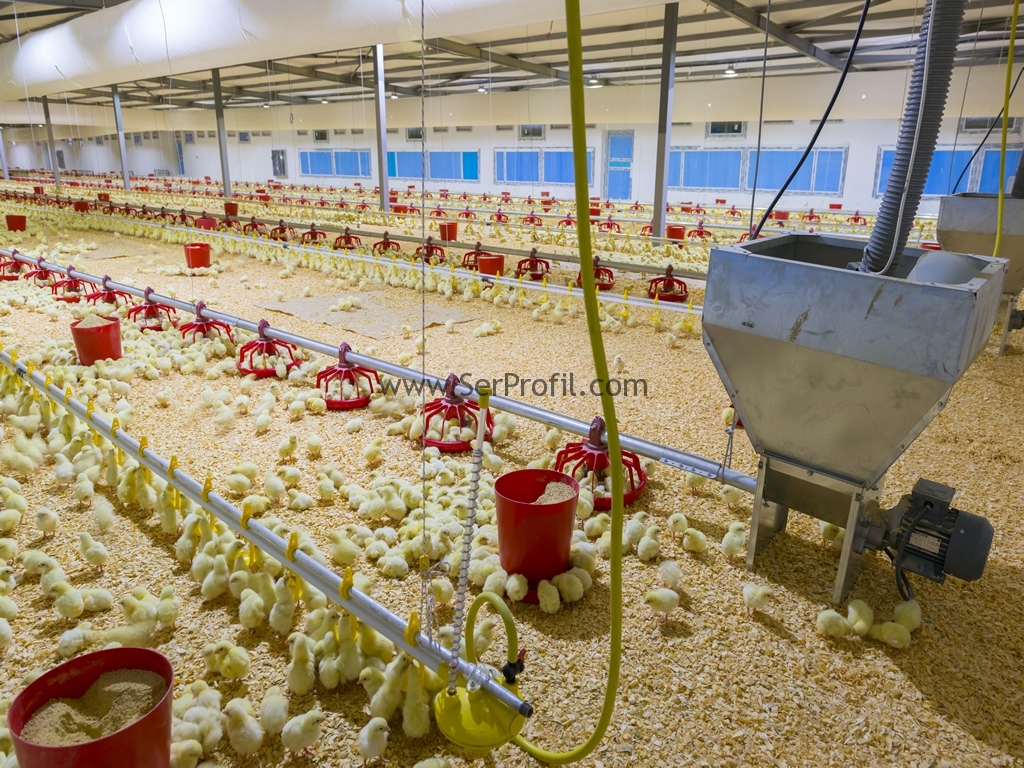 Anahtar Teslim Tavuk Çiftliği Kümes Projeleri ve Tavuk Dahil İşletme Fiyatları, Anahtar Teslim Tavuk Çiftliği Kümes Projeleri Fiyatları, Anahtar Teslim Tavuk Çiftliği Kümes Projeleri ve Tavuk Dahil Fiyatları, Anahtar Teslim Tavuk Çiftliği Kümes Projeleri Fiyatları, Anahtar Teslim Tavuk Çiftliği Kümes Projeleri, anahtar teslim tavuk çiftliği fiyatları, anahtar teslim tavuk çiftliği kuran firmalar, prefabrik tavuk çiftliği, çadır tavuk kümesi fiyatları, prefabrik tavuk çiftliği satılık, tavuk çiftliği nasıl kurulur + maliyeti nedir, 2 el prefabrik tavuk kümesi fiyatları, 1000 tavukluk kümes maliyeti, prefabrik çiftlik fiyatları,