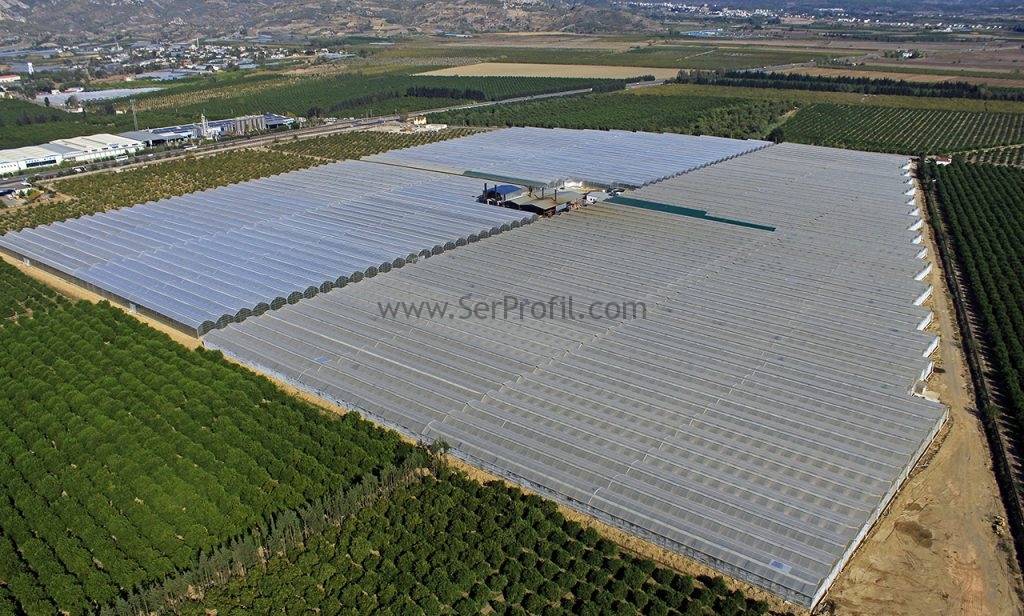Sera Profil Demir Fiyatları Toptan Satış Merkezi, Sera Profil Fiyatları Toptan Satış Merkezi, Sera Demir Fiyatları Toptan Satış Merkezi, Sera Profil Demir Fiyatları Toptan Satış , Sera Profil Demir Fiyatları Satış Merkezi, sera profil demir fiyatları, serprofil sera izmir, sera profilleri fiyatları, profil sera yapımı, sera profili fiyatları, sera klips demiri, ikinci el sera demiri fiyatı, sera malzemeleri fiyatları, hurda sera demirleri,