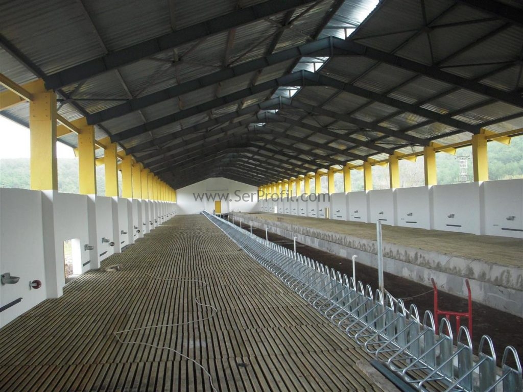 Koyun Keçi Sayaları Gübre Altı Izgara Sistemi Fiyatları, Ahşap Izgara, Plastik Izgara, Koyun Sayaları Gübre Altı Izgara Sistemi Fiyatları, Ahşap Izgara Fiyatı, Plastik Izgara Fiyatı, Keçi Sayaları Gübre Altı Izgara Sistemi Fiyatları, Ahşap Izgara Fiyatları, Plastik Izgara Fiyatları, Koyun Keçi Sayaları Izgara Sistemi Fiyatları, koyun sayaları altı ızgara sistemi, ahır ızgara sistemleri fiyatları, hayvan altı ızgara, hayvan altlığı ızgara fiyatları, beton ızgara fiyatları, ahır ızgara fiyatları, ızgara tabanlı ahırlar, hayvan altlığı fiyatları, koyun altlığı nasıl olmalı,