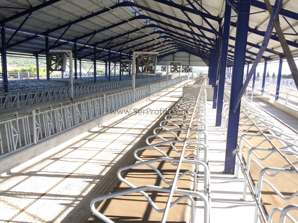 Damızlık Sığır Yetiştiriciliği Ahır Barınak Çiftlik Projeleri Yapım Fiyatları, Damızlık Sığır Yetiştiriciliği Ahır Barınak Çiftlik Projeleri, Damızlık Sığır Yetiştiriciliği Ahır Barınak Çiftlik Yapım Fiyatları, Damızlık Sığır Yetiştiriciliği Ahır Barınak Projeleri Yapım Fiyatları, Damızlık Sığır Yetiştiriciliği Ahır Çiftlik Projeleri Yapım Fiyatları, Damızlık Sığır Yetiştiriciliği Barınak Çiftlik Projeleri Yapım Fiyatları, Damızlık Sığır Ahır Barınak Çiftlik Projeleri Yapım Fiyatları, Sığır Yetiştiriciliği Ahır Barınak Çiftlik Projeleri Yapım Fiyatları, damızlık sigiri barınakları, 20 başlık ahır projesi, ahır tabanı nasıl olmalı, ahır yemlik ölçüleri, büyükbaş hayvan barınakları projeleri, kapalı bağlı sistem ahır projeleri, basit ve modern ahır planları örnek projeleri, kapalı bağlı duraklı ahırlar, inek ahırı nasıl olmalı,