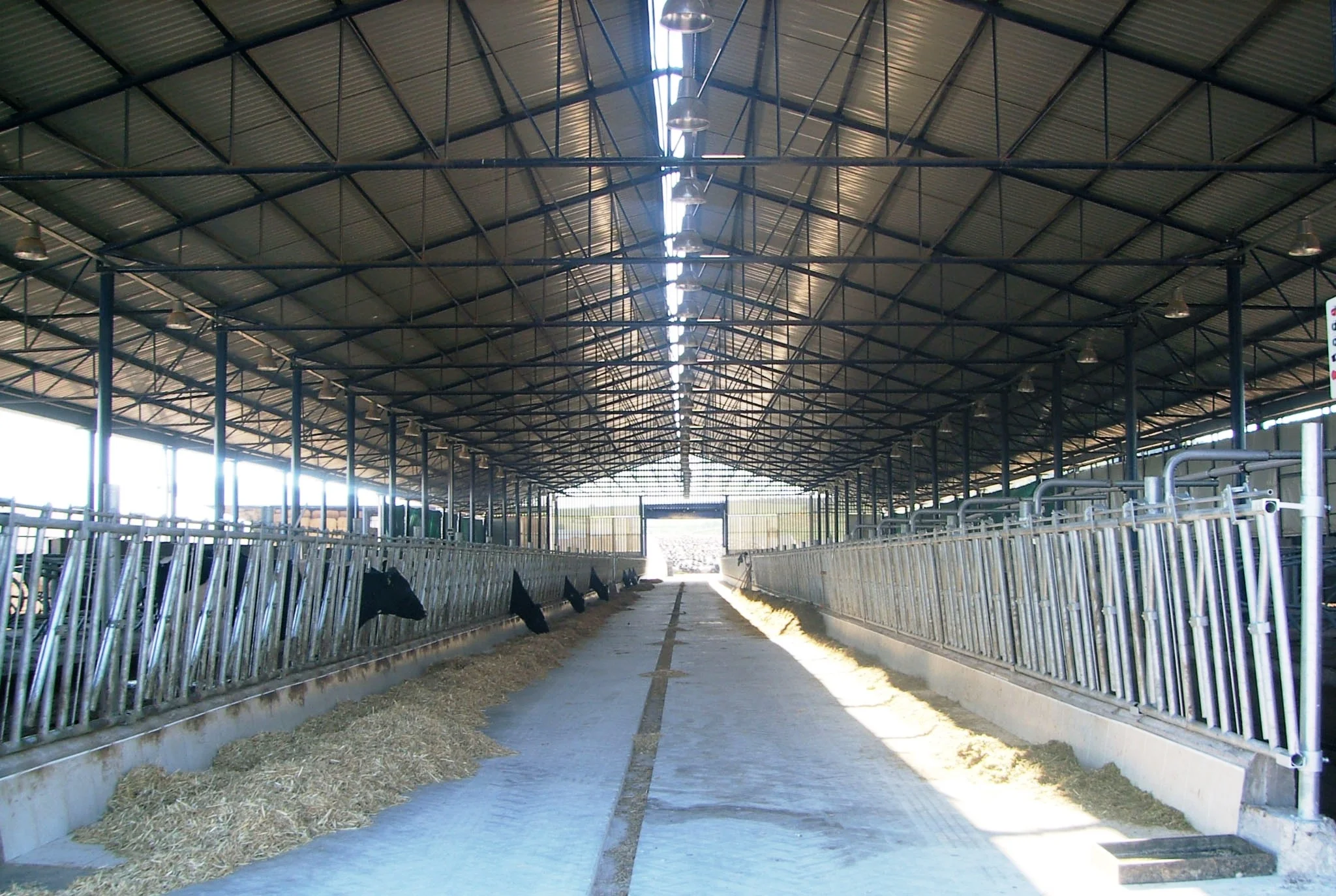 ahır maliyeti hesaplama, 50 başlık ahır projeleri fiyat, prefabrik ahır maliyeti, 10 başlık ahır projesi, 20 ineklik ahır projesi, örnek ahır projeleri, 20 başlık ahır projesi video, 20 başlık ahır maliyeti, 15 başlık ahır projesi video,