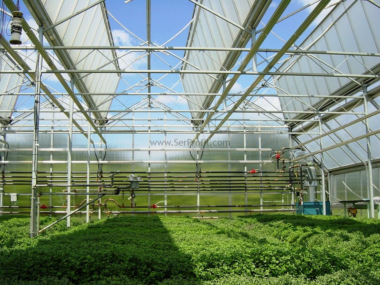 Greenhouse management. Теплицы Венло. Теплицы 5-го поколения Active climate типа Venlo. Green House теплицы в Армении. Теплицы Venlo поликарбонат.