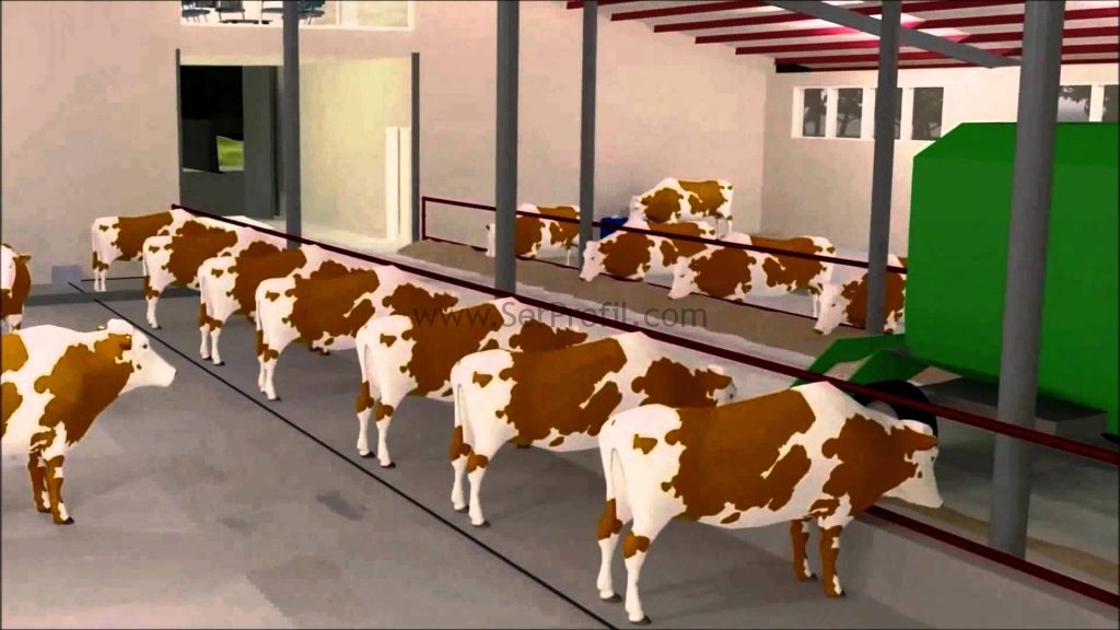 Besi Ahırı Yapımı, Besi Ahır Projeleri Maliyeti ve Fiyatları, besi ahırı, besi ahır projeleri maliyeti, besi ahırı nasıl olmalı, yarı açık besi ahır projeleri, 25 başlık ahır projesi, besi ahırı örnekleri, açık besi ahırları, açık besi ahırı nasıl olmalı, besi ahırı videoları,