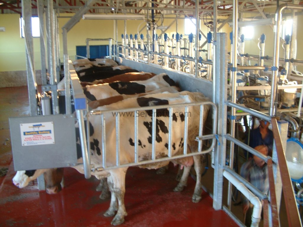 Büyükbaş Ahır Projeleri Konya, Büyükbaş Ahır Projeleri Ankara, Büyükbaş Ahır Projeleri Kars, Büyükbaş Ahır Projeleri Muğla, Büyükbaş Ahır Projeleri Milas, Büyükbaş Ahır Projeleri Erzurum, Büyükbaş Ahır Projeleri Fethiye , Büyükbaş Ahır Projeleri Fiyatları Muğla Milas Fethiye Erzurum Kars Ankara Konya, Modern Büyükbaş Ahır Projeleri Modelleri Muğla Milas Fethiye Erzurum Kars Ankara Konya, Otomasyonlu Büyükbaş Ahır Projeleri Muğla Milas Fethiye Erzurum Kars Ankara Konya, Büyükbaş Besi Ahır Projeleri Muğla Milas Fethiye Erzurum Kars Ankara Konya, Büyükbaş Süt Ahır Projeleri Muğla Milas Fethiye Erzurum Kars Ankara Konya, büyükbaş ahır projeleri, 10 başlık ahır maliyeti, ahır projeleri fiyatları, ahır maliyeti hesaplama, 25 başlık ahır projesi, basit ve modern ahır planları örnek projeleri, 20 başlık ahır projesi video, prefabrik ahır maliyeti, 50 başlık ahır projesi çizim,