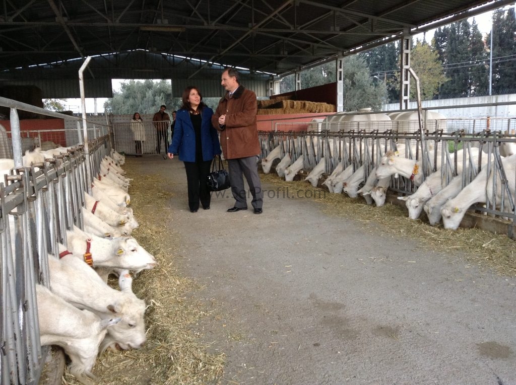 Kırsal Kalkınma TKDK Projeleriniz Uygun Fiyata Hazırlanır, Kırsal Kalkınma Projeleriniz Uygun Fiyata Hazırlanır, TKDK Projeleriniz Uygun Fiyata Hazırlanır, Kırsal Kalkınma TKDK Projeleriniz Uygun Fiyata, 2017 Kırsal Kalkınma TKDK Projeleriniz Uygun Fiyata Hazırlanır, kırsal kalkınma projesi nasıl hazırlanır, kırsal kalkınma proje örneği, hayvancılık projesi örneği, yatırım projesi örnekleri, tarımsal proje hazırlama örnekleri, yatırım projesi nasıl hazırlanır örnek, tkdk proje örneği, ipard proje fiyatları, yatırım projesi örnekleri ödevi,