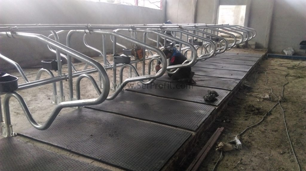 Besi Çiftliği Projeleri Ahır Planları İnşaat Fiyatları Maliyetleri, Besi Çiftliği Projeleri Besi Çiftliği Planları İnşaat Fiyatları Maliyetleri, Besi Çiftliği Projeleri Besi Çiftliği Ahır İnşaat Fiyatları Maliyetleri, Besi Çiftliği Projeleri Besi Çiftliği Ahır Planları Fiyatları Maliyetleri, Besi Çiftliği Projeleri Besi Çiftliği Ahır Planları İnşaat Maliyetleri, Besi Çiftliği Projeleri Besi Çiftliği Ahır Planları İnşaat Fiyatları , Besi Çiftliği Ahır Planları İnşaat Fiyatları Maliyetleri, Besi Çiftliği Projeleri ,Besi Çiftliği ,Ahır Planları , Ahır İnşaat, Ahır Fiyatları, Ahır Maliyetleri, besi çiftliği projeleri, besi çiftliği projesi örnekleri, besi çiftliği projeleri ve fizibilite raporları, 20 başlık ahır projesi maliyeti, 100 başlık besi çiftliği maliyeti, çiftlik projeleri maliyeti, 50 başlık ahır projesi çizim, büyükbaş hayvan çiftliği kurmak istiyorum, besi ahırı nasıl olmalı,