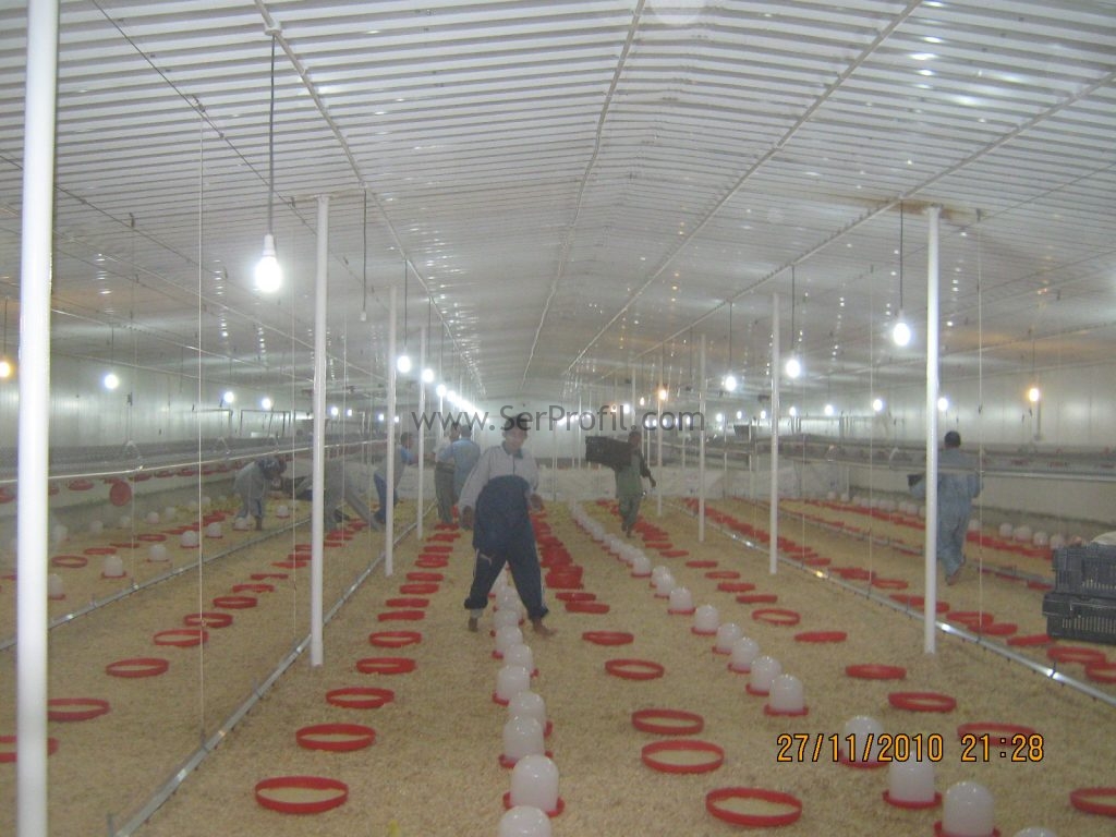 Prefabrik Tavuk Kümesi Fiyatları, Anahtar Teslimi Tavuk Çiftliği Yapan Firmalar 2017, prefabrik tavuk çiftlik fiyatları, anahtar teslimi tavuk çiftliği yapan firmalar, çadır tavuk kümesi fiyatları, prefabrik tavuk çiftliği satılık, 2 el prefabrik tavuk kümesi fiyatları, 500 tavuk için kümes, tavuk çiftliği nasıl kurulur maliyeti nedir, 1000 tavukluk kümes maliyeti, satılık prefabrik tavuk kümesi,