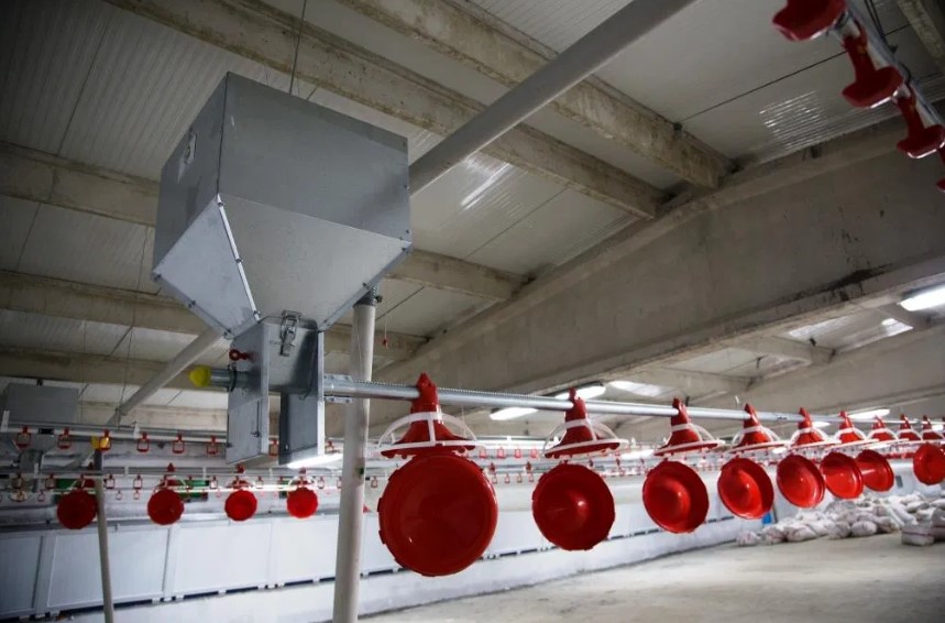 tkdk-ipard-yumurta-ureten-isletmelere-hibe2